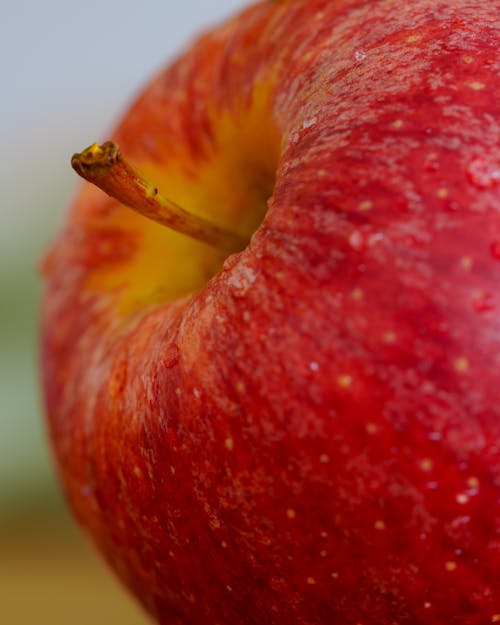A close up of a red apple with a green background