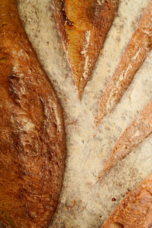 Kostenloses Stock Foto zu backen, bäckerei, brot