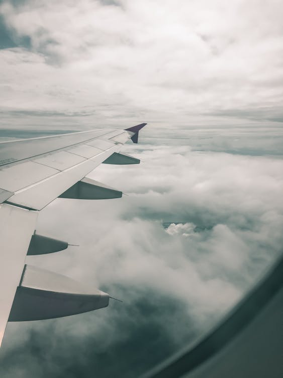 Architectural Photography of White Aircraft Wing