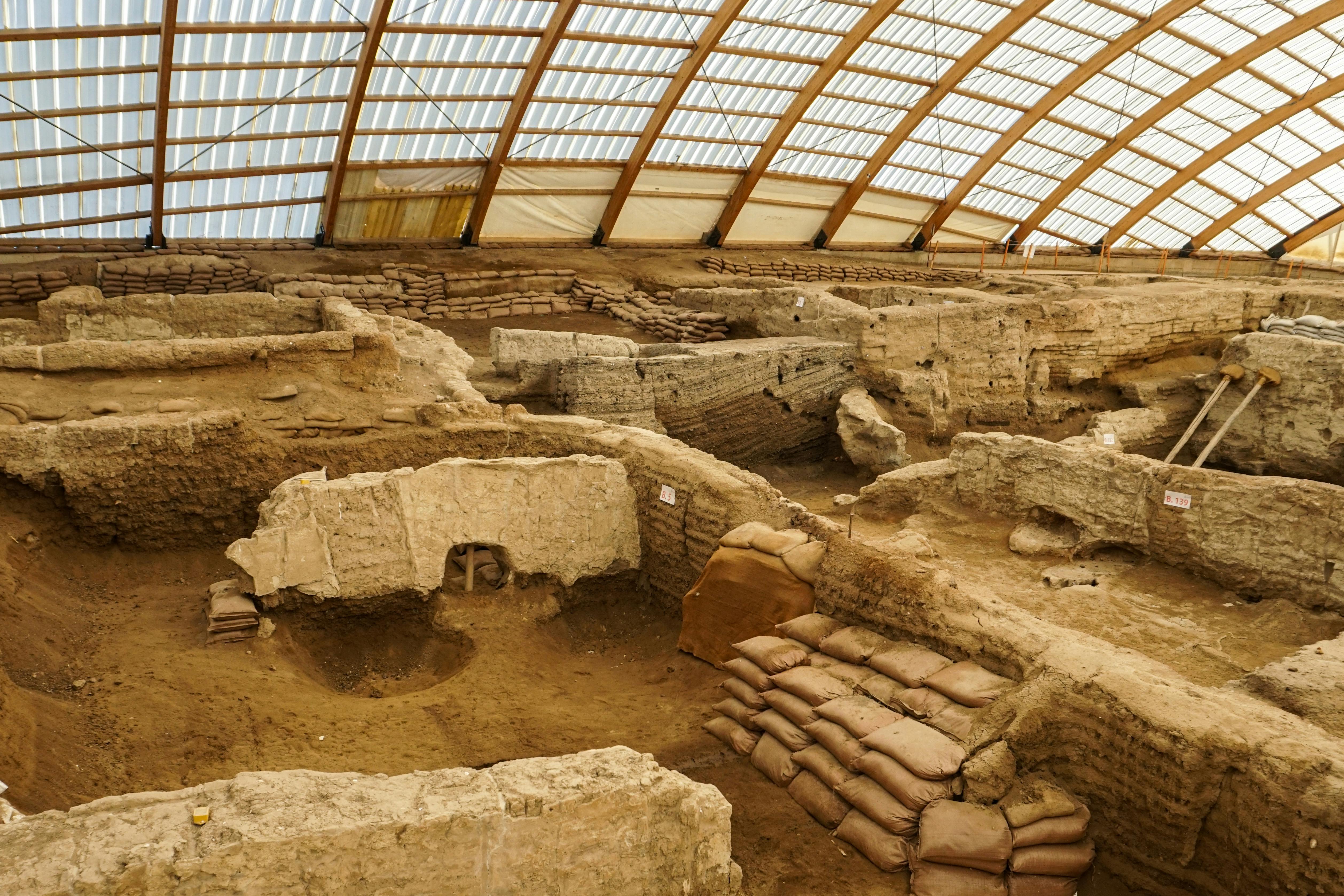 séquençage ARN ancien