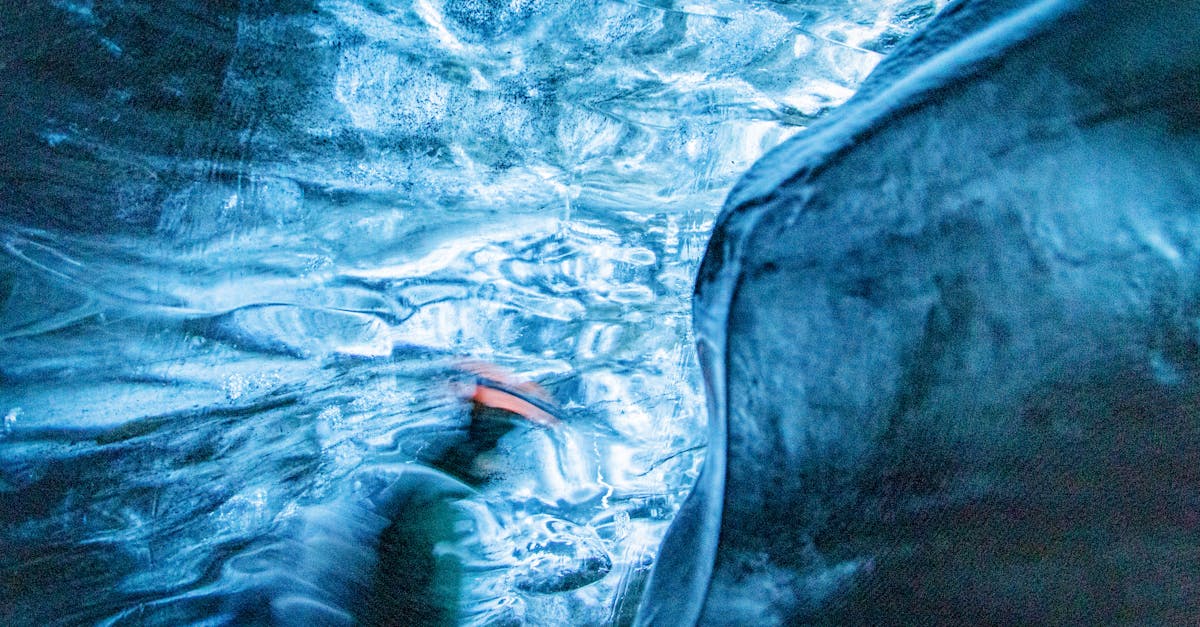 The Weaver’s Bloom 1 image text