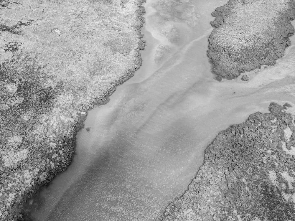 A black and white photo of a river