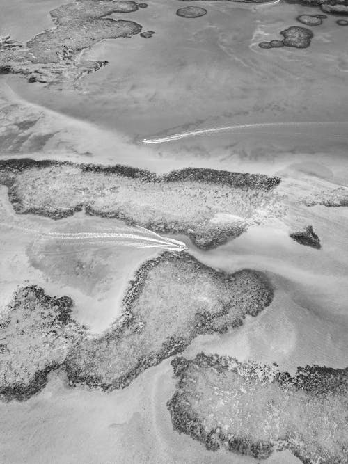 Black and white photo of sand and water