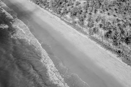 Безкоштовне стокове фото на тему «drone зображення, берег, берег моря»