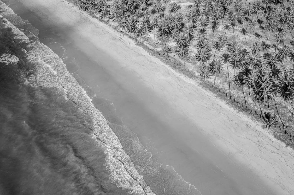 Black and white aerial view of the beach