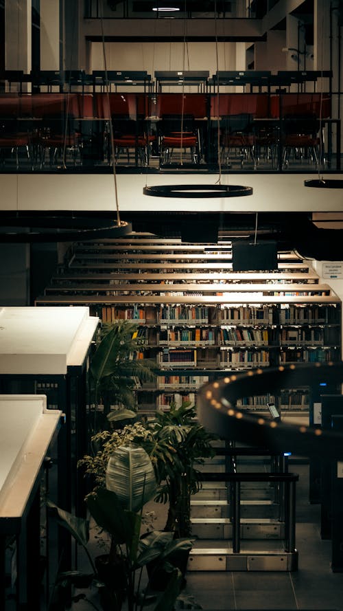 A view of a library with bookshelves and plants