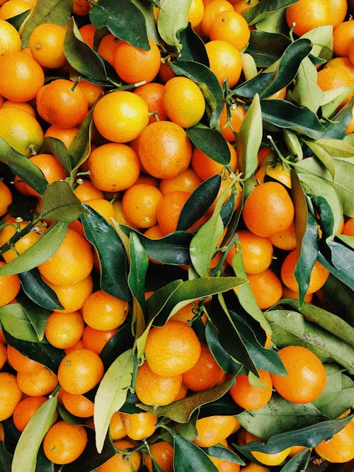 Free Photo of Pile Of Oranges Stock Photo