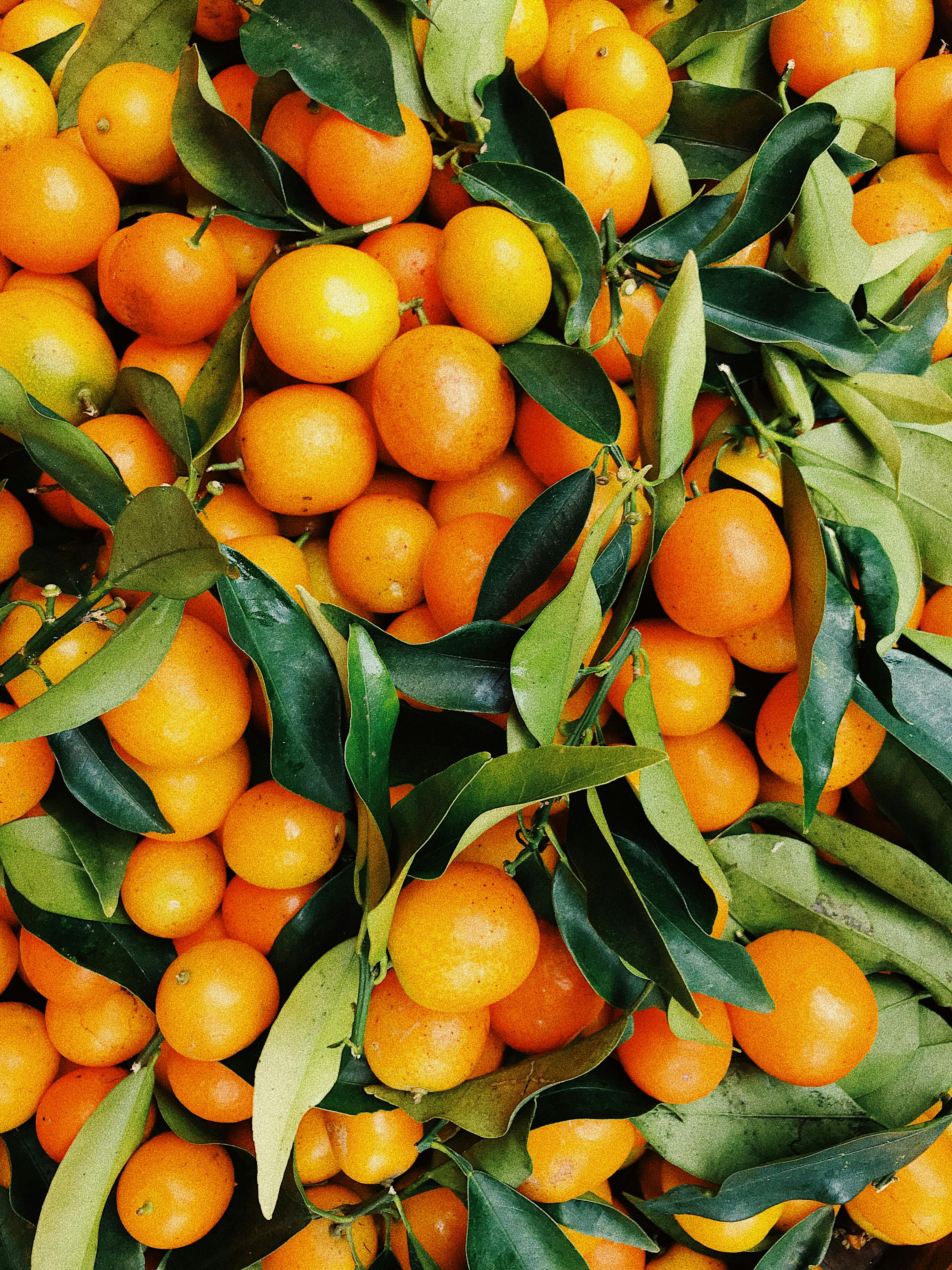 orange fruit wallpaper desktop