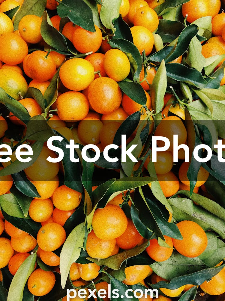 1000 Amazing Oranges Photos Pexels Free Stock Photos