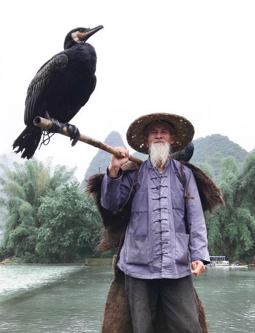 Elderly man in traditional attire with a cormorant bird on a stick by a river.