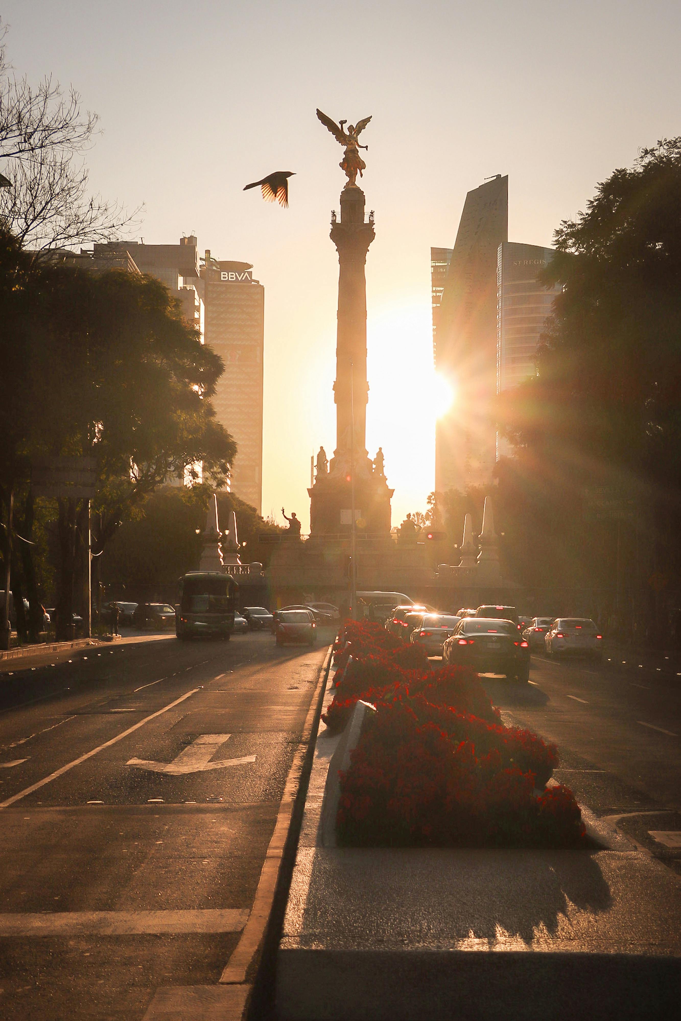 Consulting with‍ a ⁤Traffic ⁣Ticket Attorney