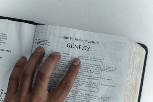 Photo of Person Holding a Bible