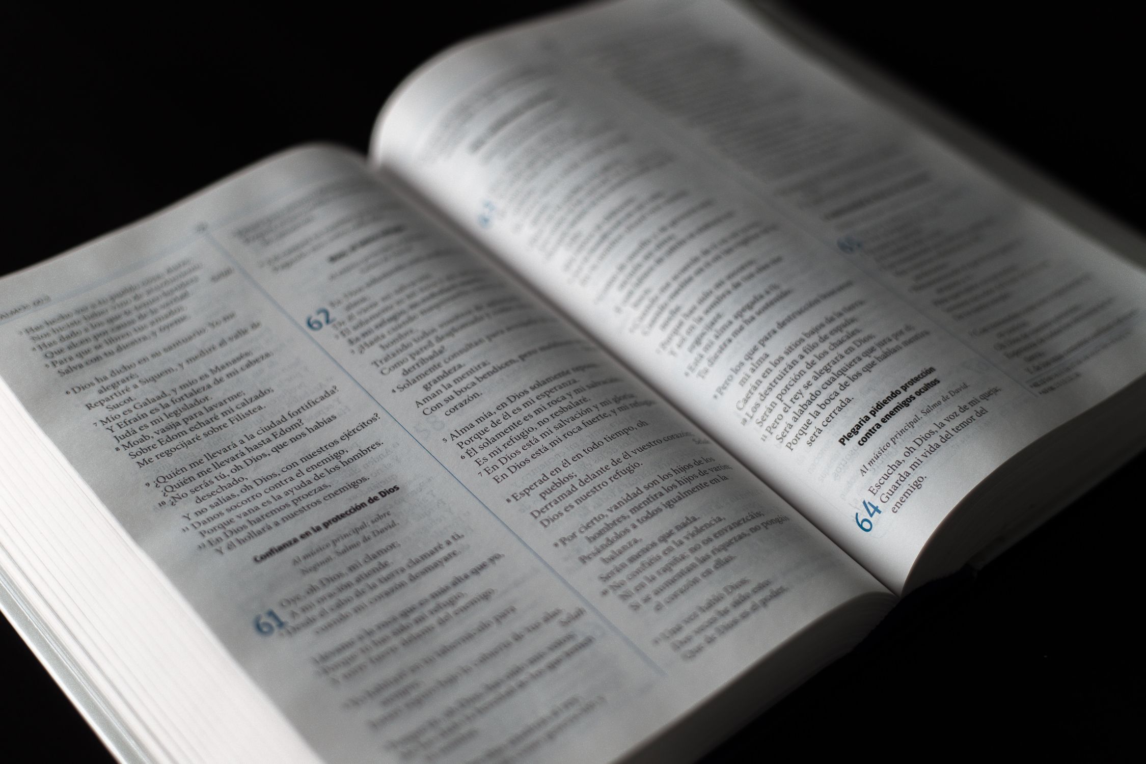 Scripture Pages Photo Bible Page · Free Stock Photo