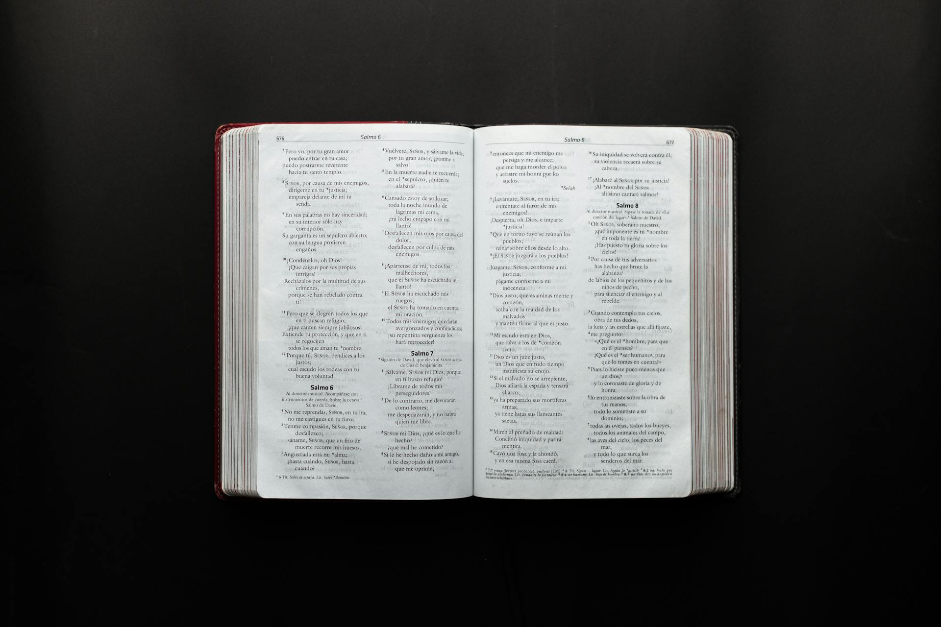 Open Bible