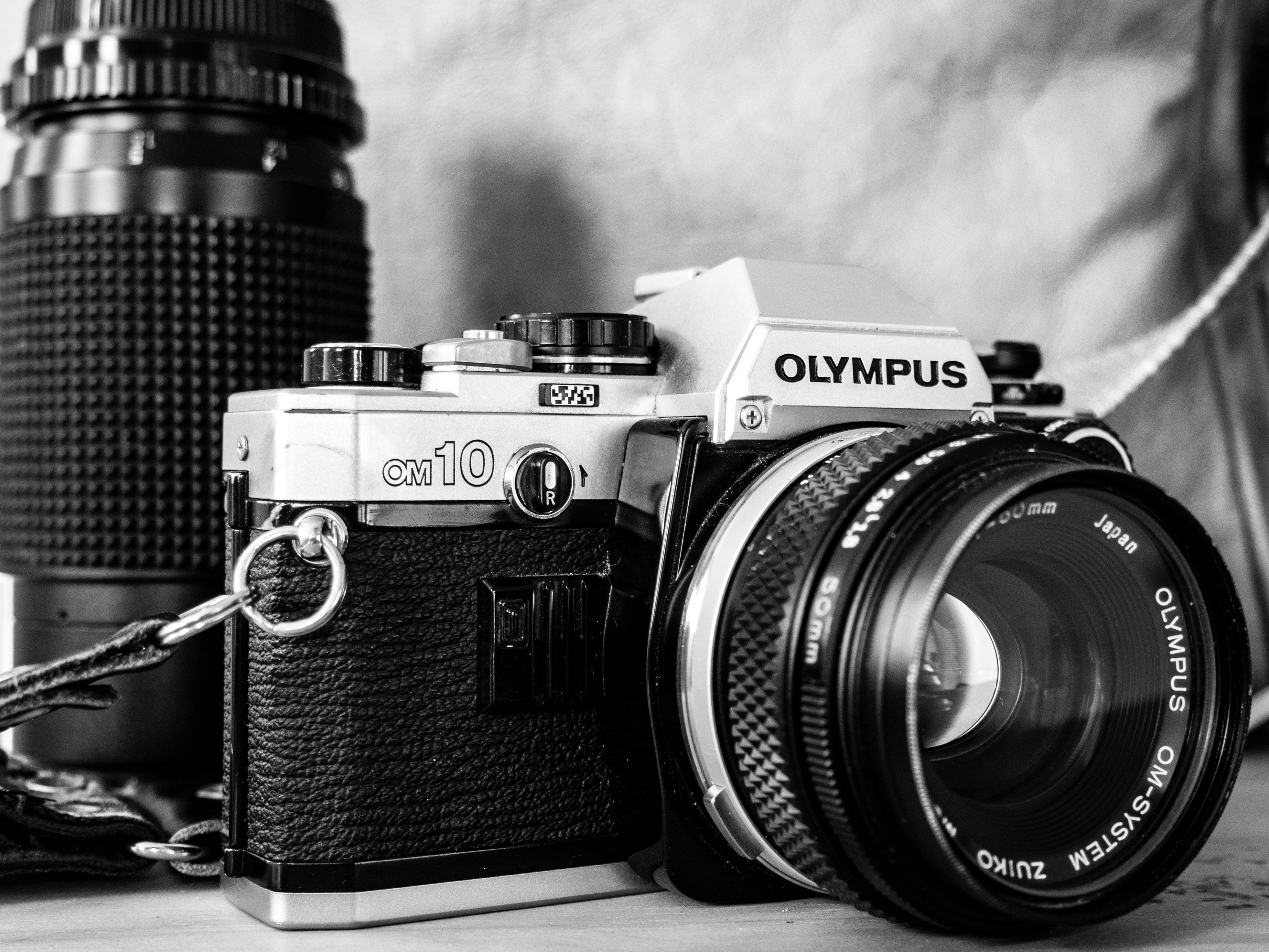 Free stock photo of black and white, camera, lens