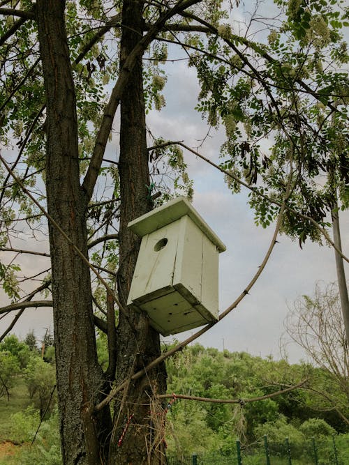 A birdhouse on a tree with a green fence