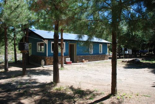 Free Rustic blue cabin situated in a tranquil forest setting with pine trees and laundry drying outdoors. Stock Photo