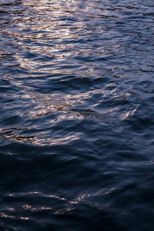 H2O, 反射, 地球表面 的 免費圖庫相片