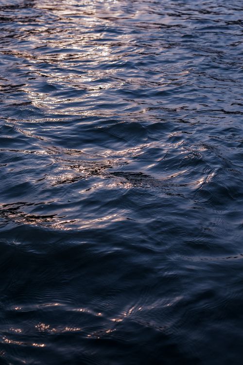 Free A close-up view of shimmering blue water with sunlit ripples creating a tranquil texture. Stock Photo