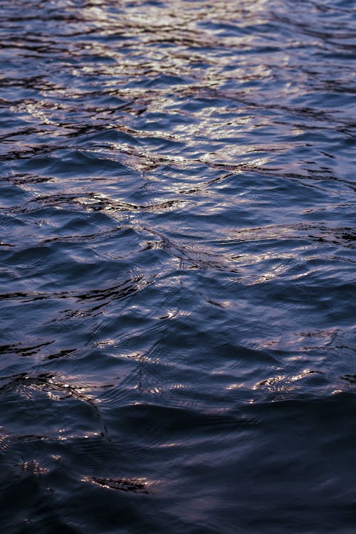 H2O, きらきら, さざ波の無料の写真素材