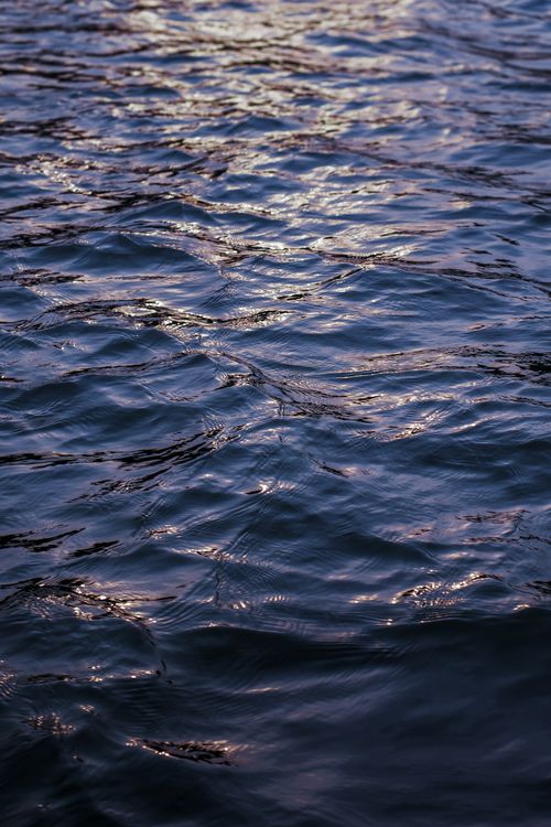 Free A peaceful view of rippling water with mesmerizing light reflections at twilight. Stock Photo