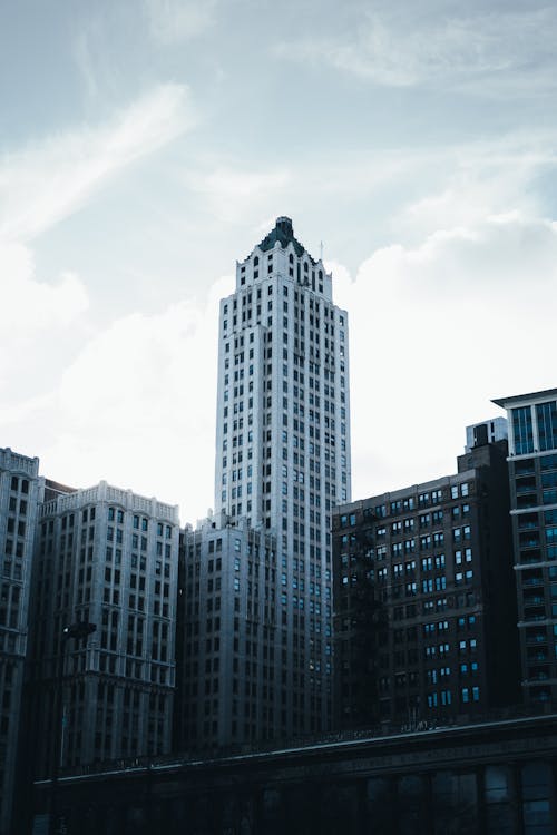 Free Photo of High-Rise Buildings Stock Photo