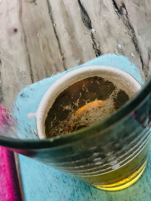Free stock photo of beer Stock Photo