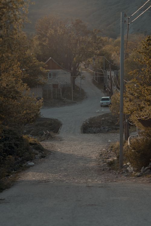 Free Serene village street in autumn, with golden leaves and soft evening light creating a tranquil scene. Stock Photo