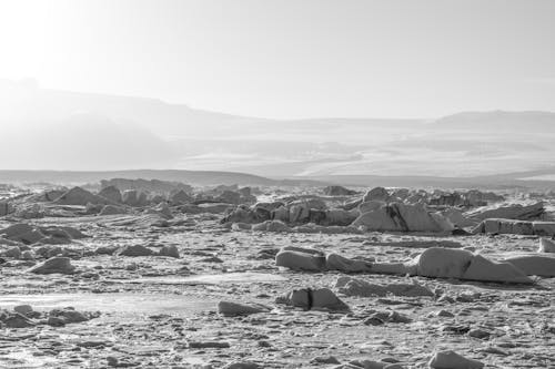 Foto d'estoc gratuïta de bella naturalesa, blanc i negre, fotografia de paisatge