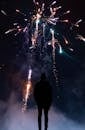 夜空中烟花绽放，映衬出一个人色彩缤纷的轮廓