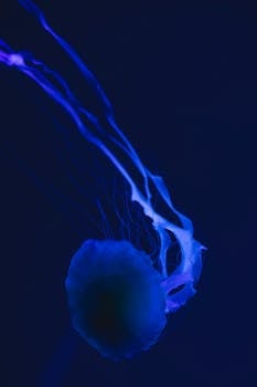 在深蓝色的大海中，一只水母优雅地游动着，它流动的触手令人着迷