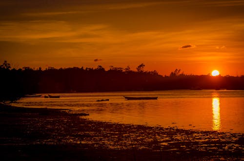 Free stock photo of evening sky, golden yellow, skyline