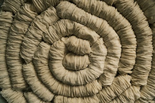 Top View of Rolled Dough