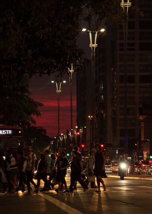 Free stock photo of crosswalk, night city, street