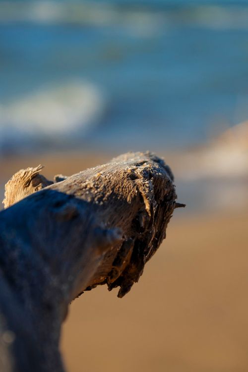 Free stock photo of beach, stick Stock Photo