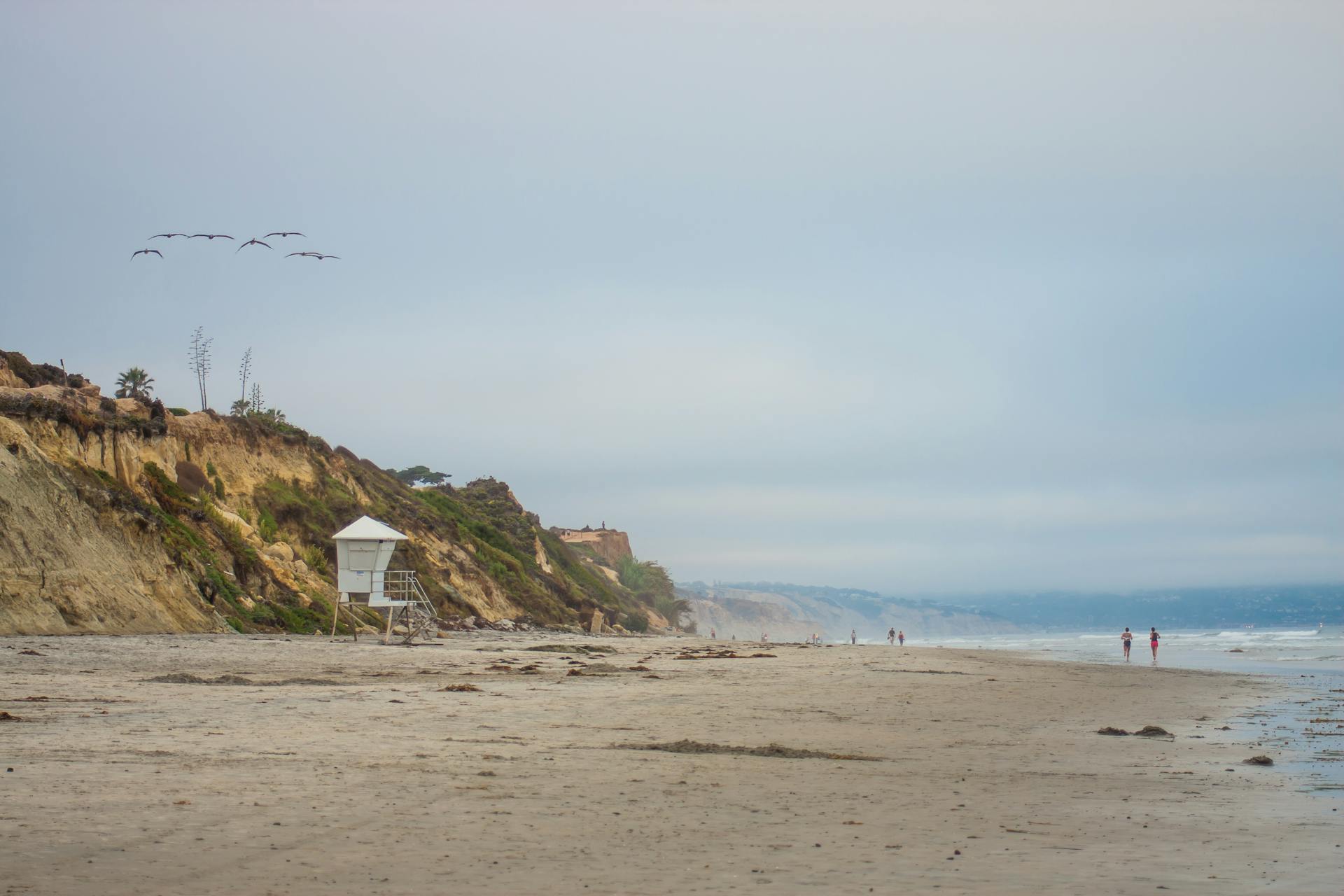 Quiet beach landscape featuring cliffs, a lifeguard tower, and birds flying overhead.