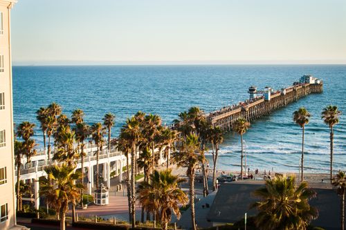 Free Luxurious tropical pier setting with beautiful ocean views and palm trees in daylight. Stock Photo