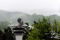 在乌克兰利沃夫，一只鸽子栖息在雾气弥漫的绿色景观中的灯柱上