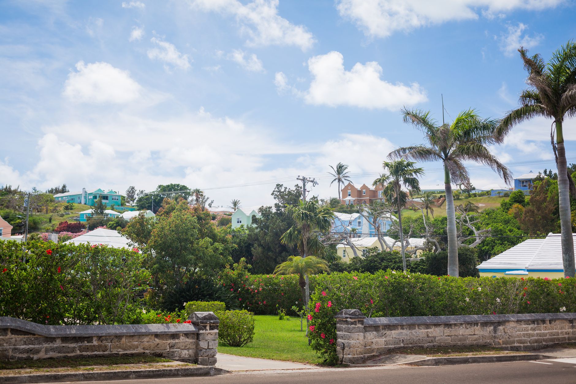 Bermuda photo 5