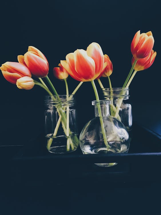 Hoa Tulip đỏ Và Vàng Trong Lọ Thủy Tinh Trong Và Bình Tranh Tĩnh Vật