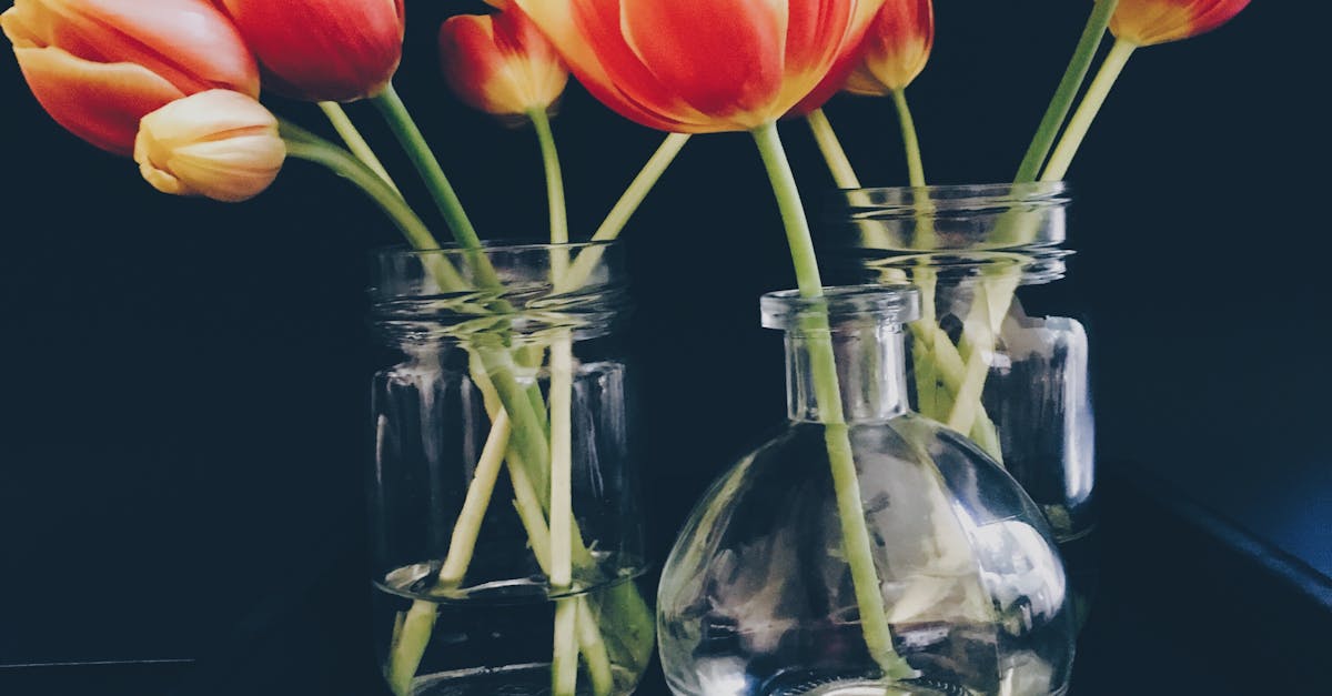 Red and Yellow Tulips in Clear Glass Jar and Vase Still Life Painting