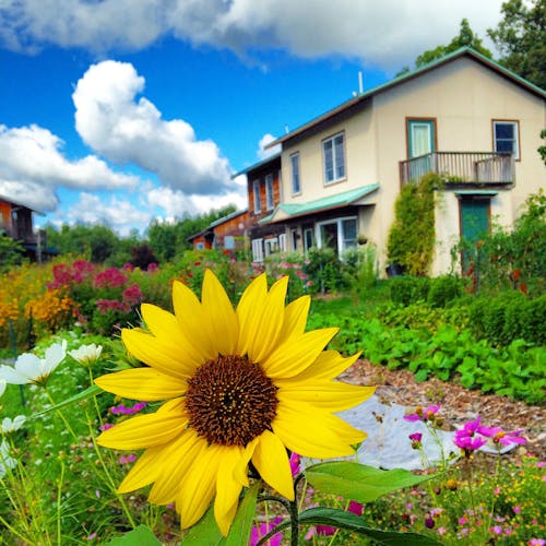 Free stock photo of cloud, clouds, eco village