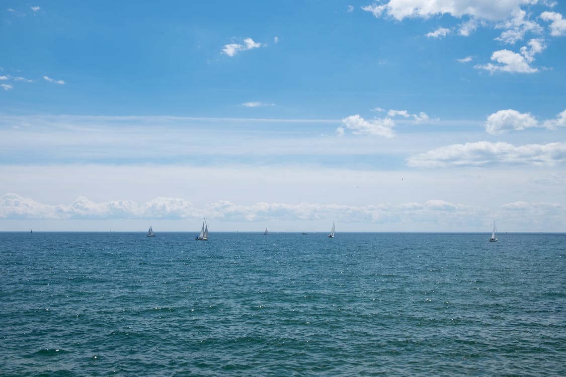 Free stock photo of beautiful, blue, sail