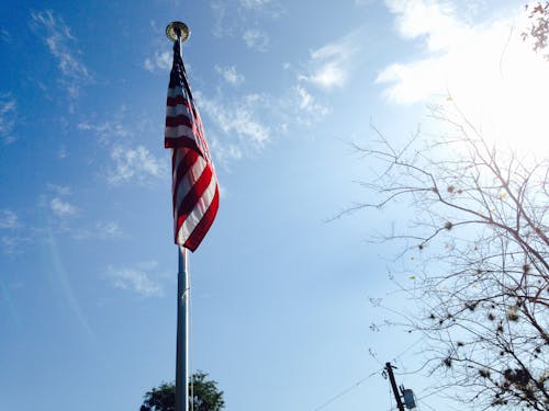 Free stock photo of american flag