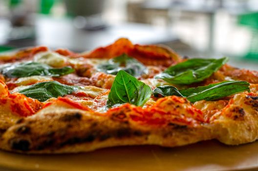Close-up shot of fresh basil leaves topping a classic Italian pizza with melted cheese and tomato sauce.