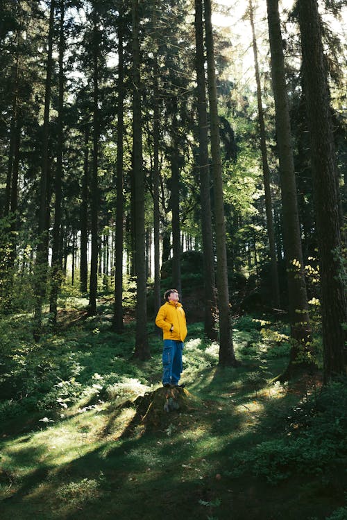 A man in a yellow jacket standing in the woods