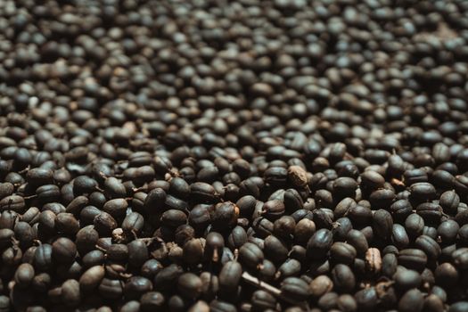 A detailed photograph of dried brown coffee beans, focusing on texture and natural hues.