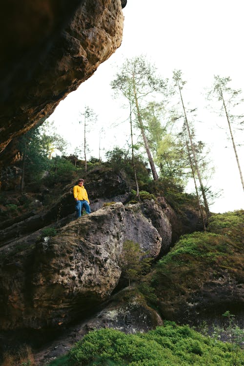 Photos gratuites de @extérieur, allemagne, arbre