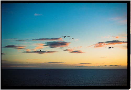 A sunset with birds flying over the ocean