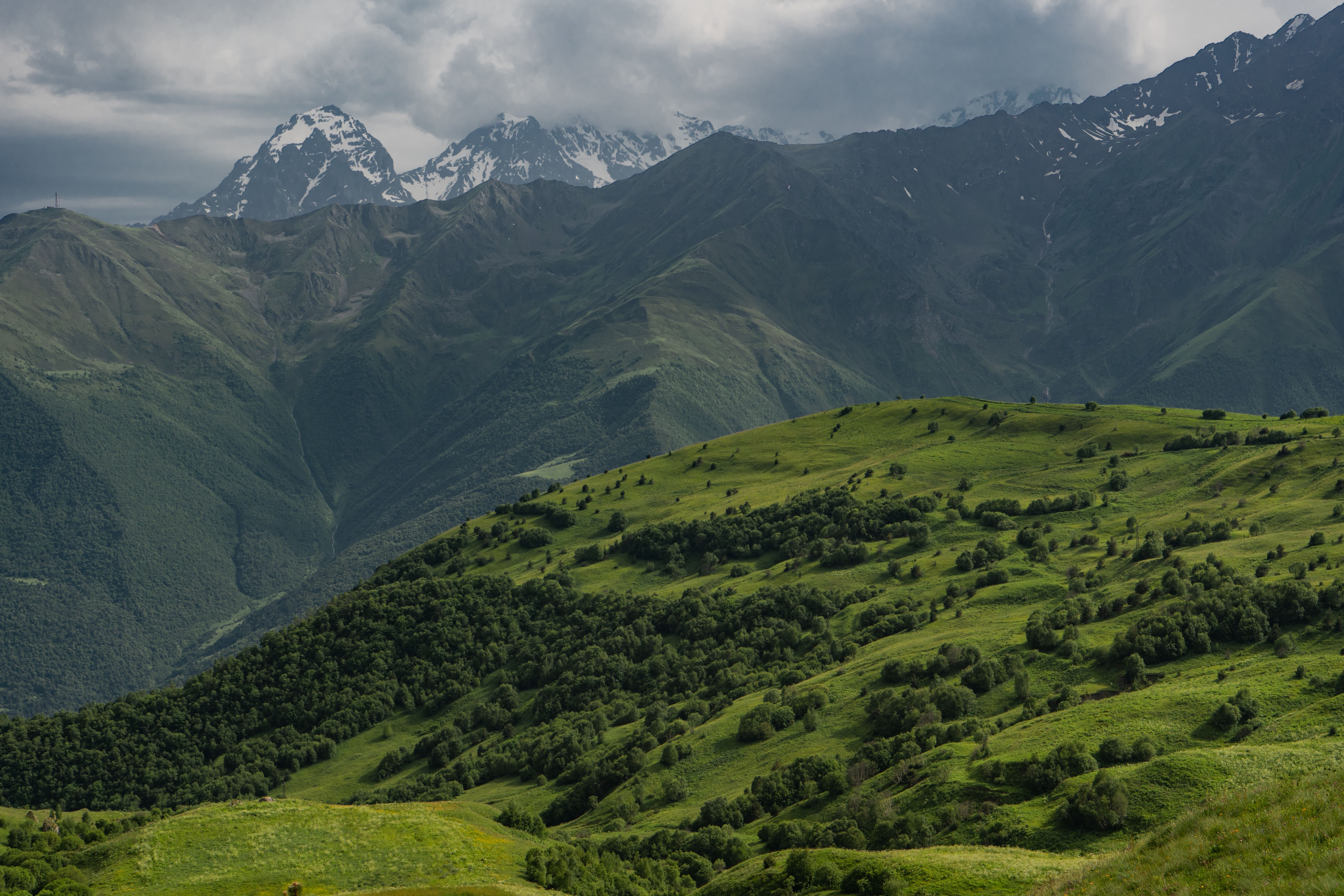 Vladikavkaz